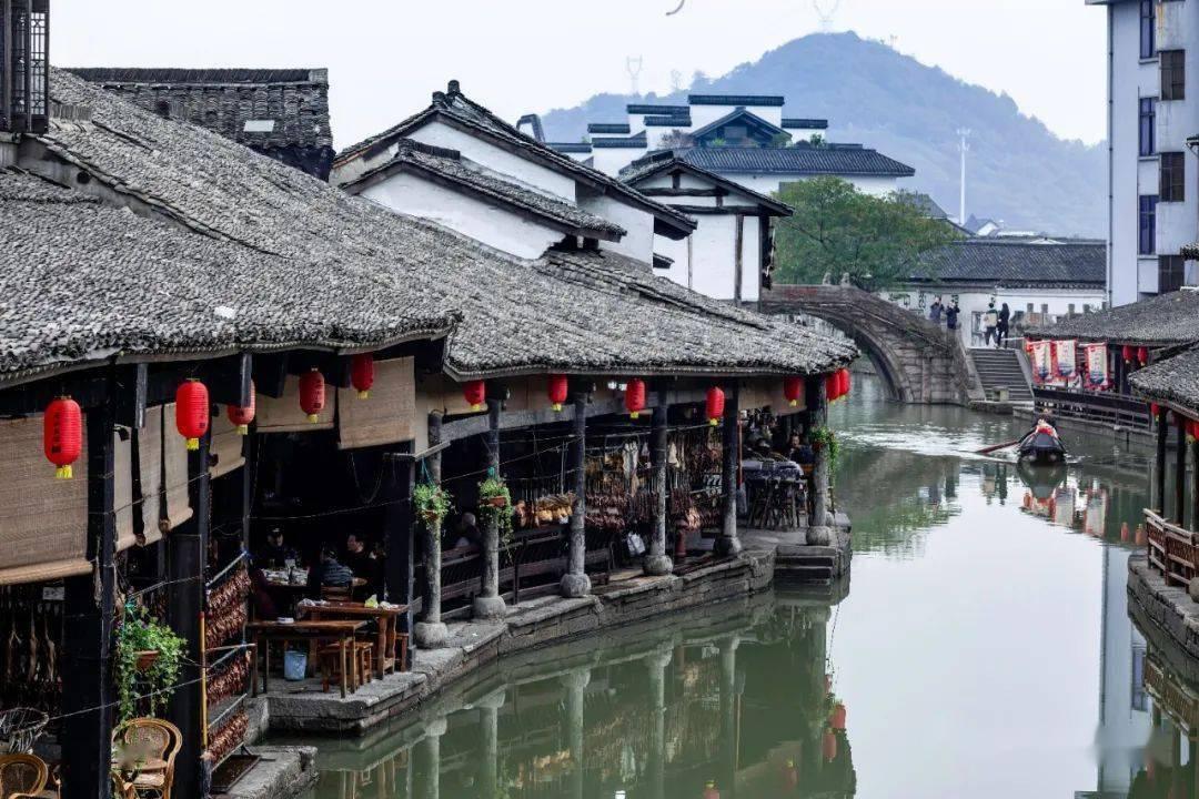 猪场怼怼乐